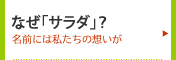 家は「サラダ」くらいがちょうどいい！